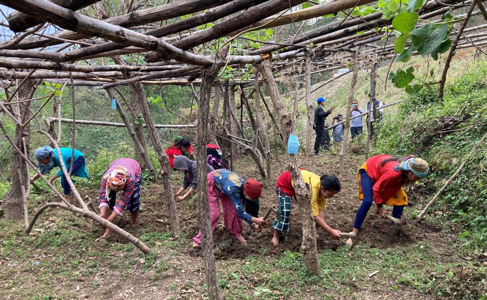 विद्यालयमा व्यावहारिक ज्ञान दिन किबी खेती